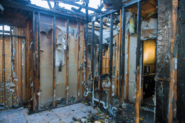 Professional Fire Damage Removal technician working in Montgomery, MN